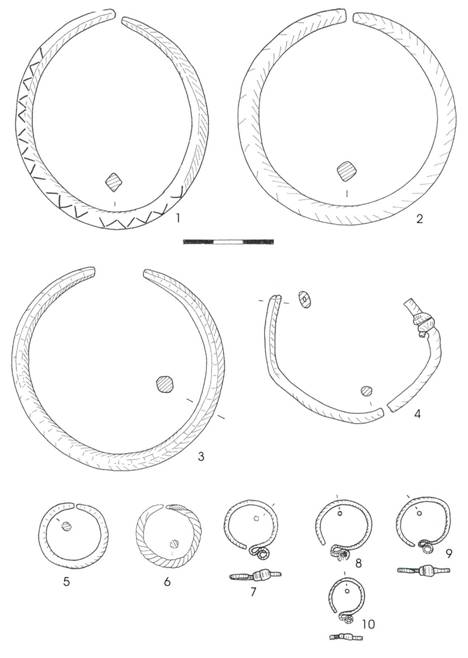 Pl. XXI. 1- 10: Moldoveneşti ( după Oţa-colab. 2006 ). 